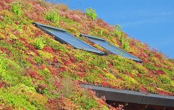 Burntwood living roof systems